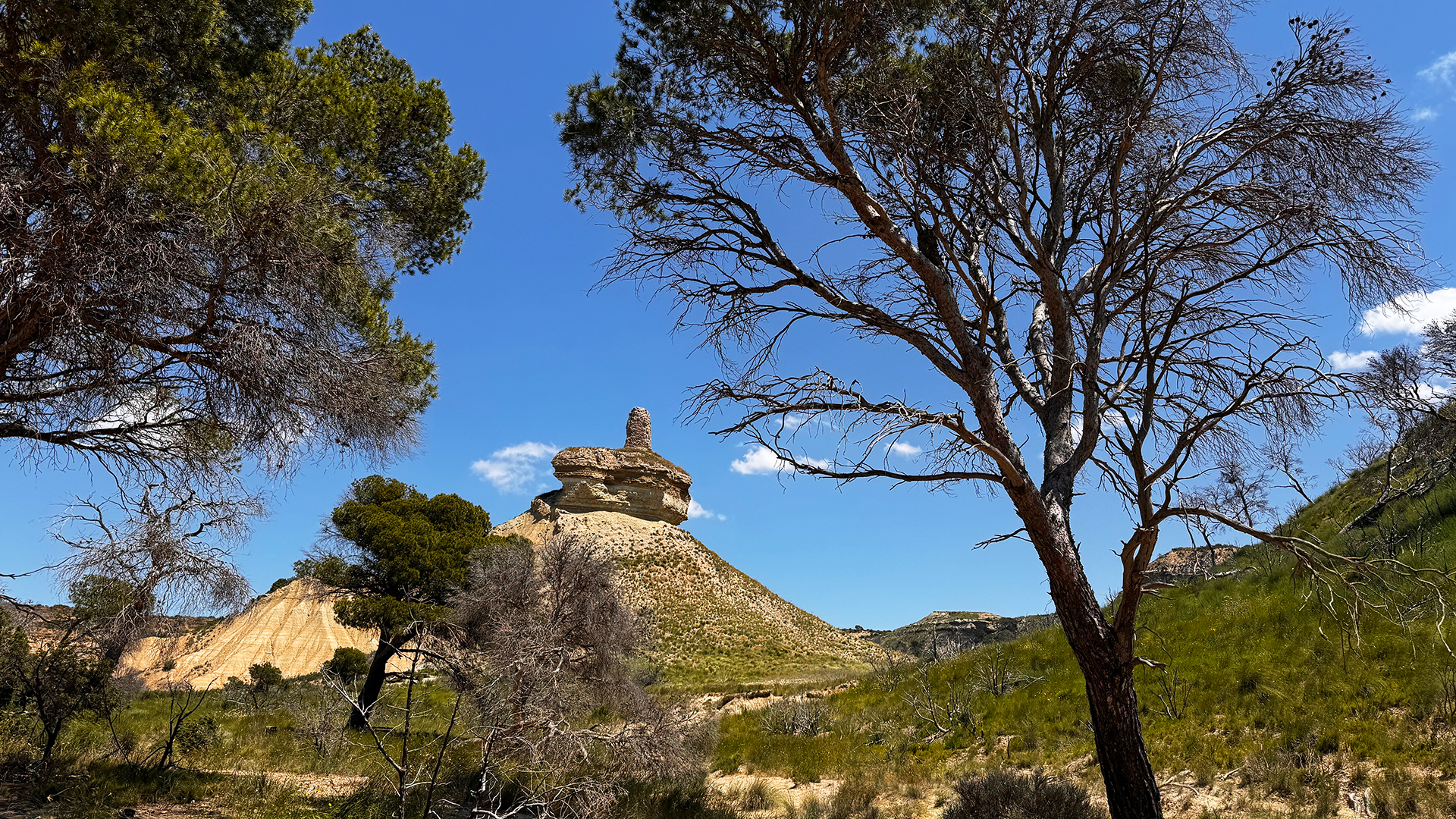 randonnée autour du Castillo de Peñaflor